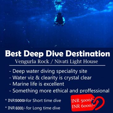 Best Deep Dive Destination