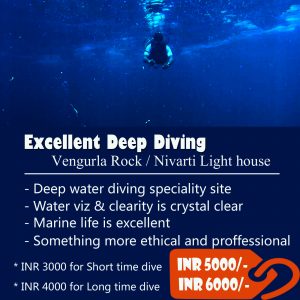 Excellent Deep Diving in Vengurla
