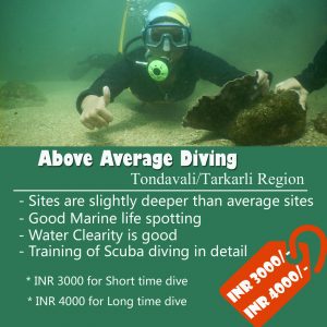 Above Average Diving in Tarkarli