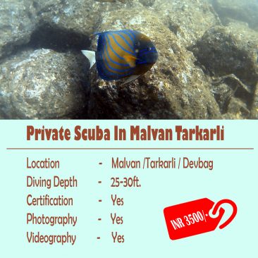 Private Scuba Diving