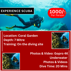 experience scuba